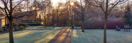 Gardens on winter's morning